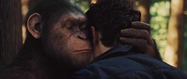 猩球崛起4在线观看,终极之战在线观影指南:揭秘猿类革命的高潮篇章 第1张 猩球崛起4在线观看,终极之战在线观影指南:揭秘猿类革命的高潮篇章 第1张